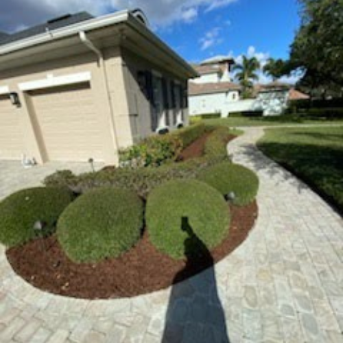 Clearwater Lawn Pros - Work (1)