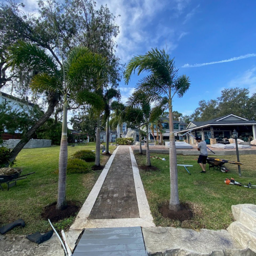 Clearwater Lawn Pros - Work (3)
