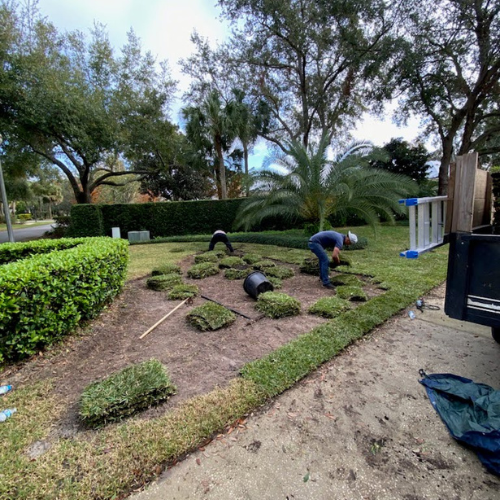 Clearwater Lawn Pros - Work (4)