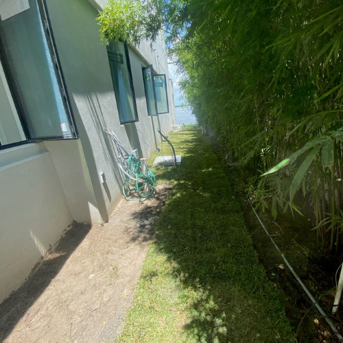 Clearwater Lawn Pros - Work (5)