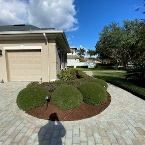 Clearwater Lawn Pros - Work